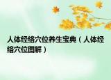 人體經(jīng)絡(luò)穴位養(yǎng)生寶典（人體經(jīng)絡(luò)穴位圖解）
