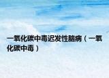 一氧化碳中毒遲發(fā)性腦?。ㄒ谎趸贾卸荆? /></span></a>
                        <h2><a  title=