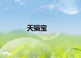 天貓寶