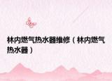林內(nèi)燃?xì)鉄崴骶S修（林內(nèi)燃?xì)鉄崴鳎? /></span></a>
                        <h2><a  title=