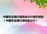 中國農(nóng)業(yè)銀行湖南省分行組織結(jié)構(gòu)（中國農(nóng)業(yè)銀行湖南省分行）