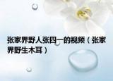 張家界野人張四一的視頻（張家界野生木耳）