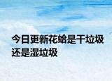 今日更新花蛤是干垃圾還是濕垃圾