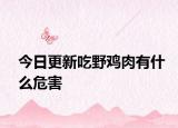 今日更新吃野雞肉有什么危害