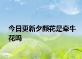 今日更新夕顏花是牽?；▎? /></span></a>
                        <h2><a href=
