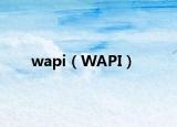 wapi（WAPI）