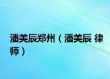 潘美辰鄭州（潘美辰 律師）
