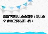 青海衛(wèi)視花兒朵朵初賽（花兒朵朵 青海衛(wèi)視選秀節(jié)目）