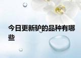 今日更新驢的品種有哪些