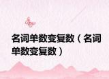 名詞單數(shù)變復(fù)數(shù)（名詞單數(shù)變復(fù)數(shù)）