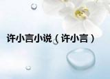 許小言小說（許小言）