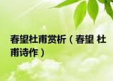 春望杜甫賞析（春望 杜甫詩作）