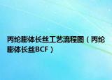 丙綸膨體長(zhǎng)絲工藝流程圖（丙綸膨體長(zhǎng)絲BCF）