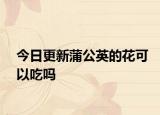 今日更新蒲公英的花可以吃嗎