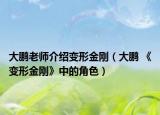大鵬老師介紹變形金剛（大鵬 《變形金剛》中的角色）