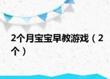 2個(gè)月寶寶早教游戲（2個(gè)）