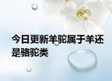 今日更新羊駝屬于羊還是駱駝類