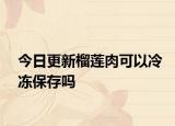今日更新榴蓮肉可以冷凍保存嗎