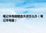 筆記本電腦鍵盤失靈怎么辦（筆記本電腦）