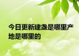 今日更新建盞是哪里產(chǎn)地是哪里的