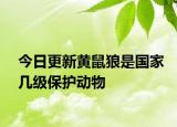 今日更新黃鼠狼是國家?guī)准壉Ｗo(hù)動物