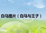 白馬圖片（白馬與王子）