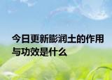 今日更新膨潤土的作用與功效是什么