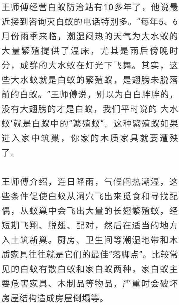 妙招｜白蟻“大軍”入侵家里？這個(gè)消滅辦法很有效！