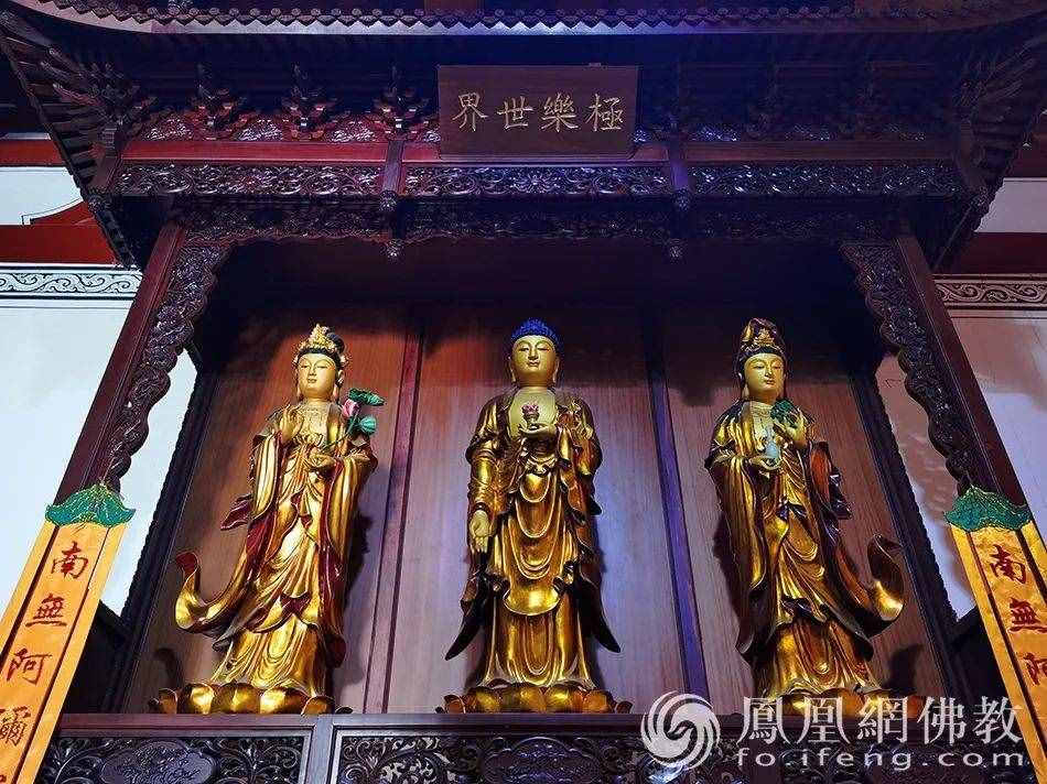 恭迎阿彌陀佛圣誕！瞻禮全球百寺阿彌陀佛圣像，見者增福獲平安