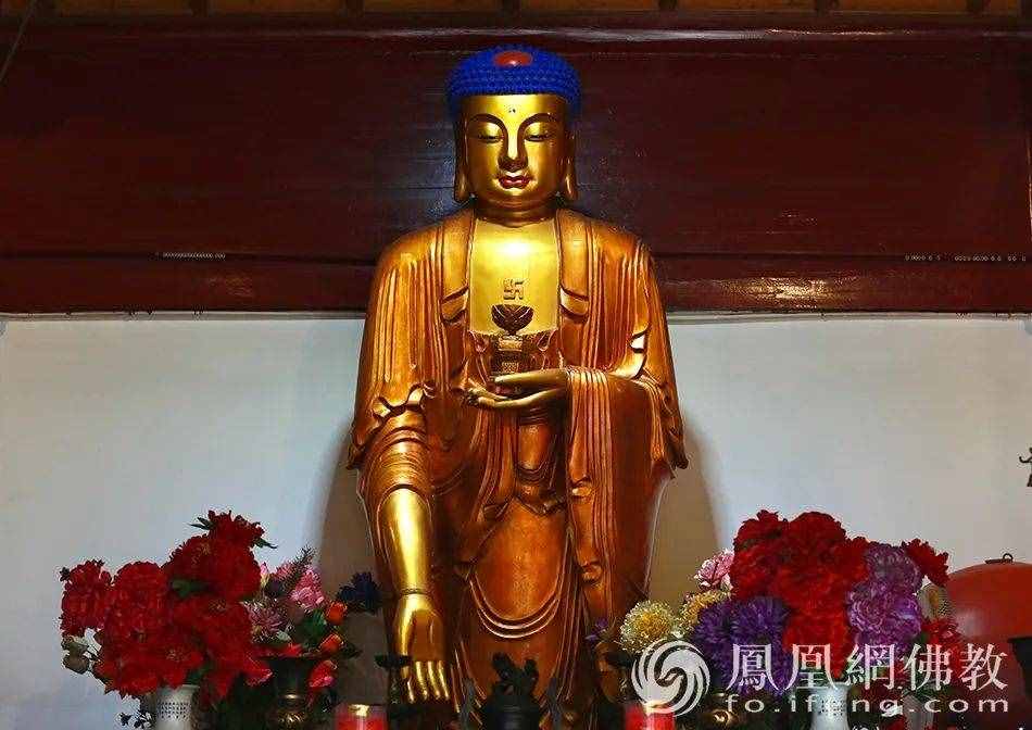 恭迎阿彌陀佛圣誕！瞻禮全球百寺阿彌陀佛圣像，見者增福獲平安