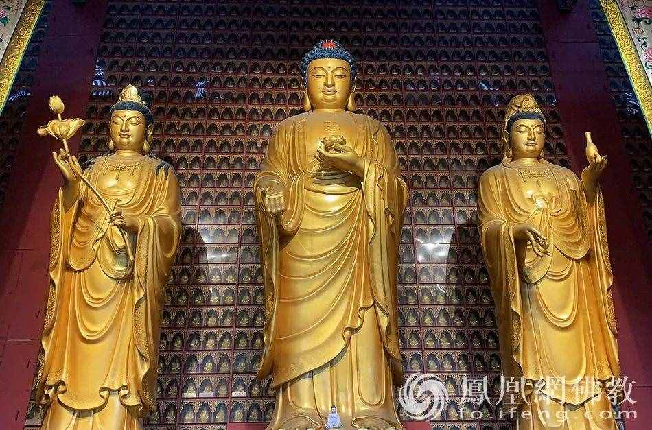 恭迎阿彌陀佛圣誕！瞻禮全球百寺阿彌陀佛圣像，見者增福獲平安