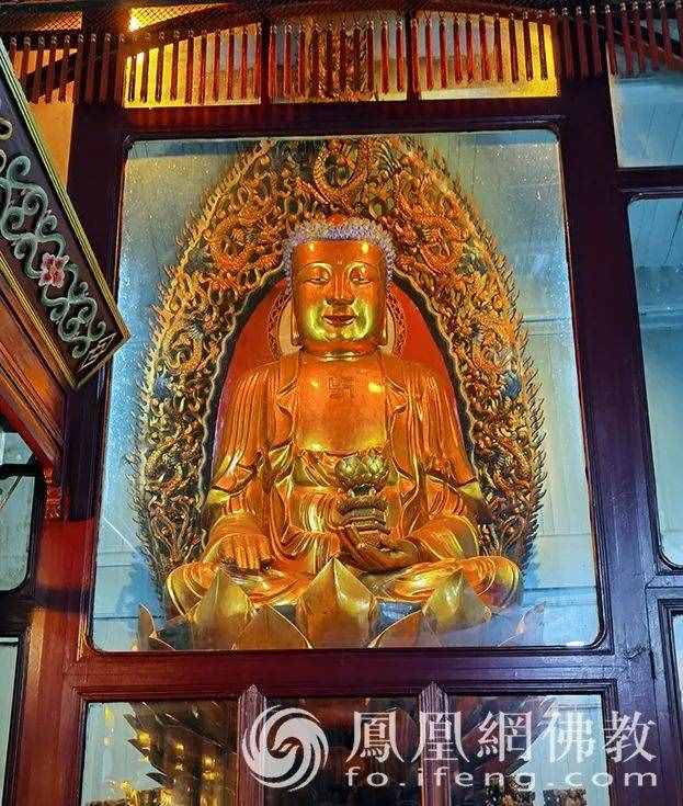 恭迎阿彌陀佛圣誕！瞻禮全球百寺阿彌陀佛圣像，見者增福獲平安