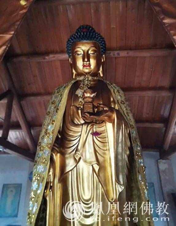 恭迎阿彌陀佛圣誕！瞻禮全球百寺阿彌陀佛圣像，見者增福獲平安
