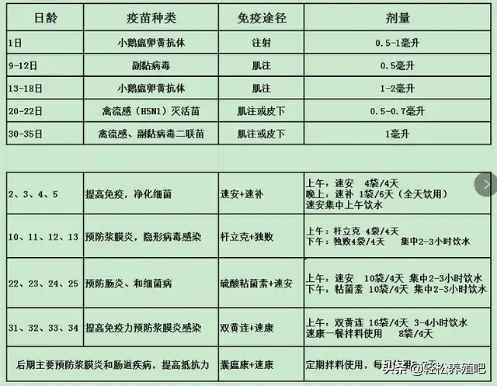 10年養(yǎng)鴨老哥的經(jīng)驗(yàn)之談，如何養(yǎng)好鴨