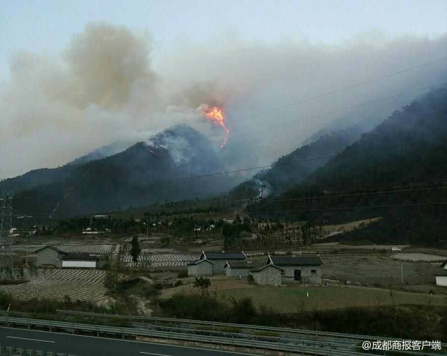 冕寧森林山火最新通報：過火面積24公頃，系小孩玩火引發(fā)