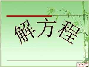 數(shù)學小論文——奇妙的“方程”