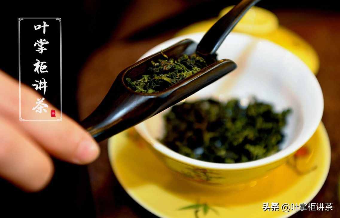 鐵觀音是什么茶？都有哪些特點，有什么獨特的魅力，你知道嗎？