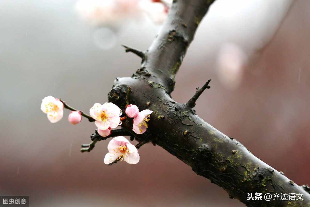 部編版三年級古詩 考點(diǎn)綜合歸納 可收藏，備考期末