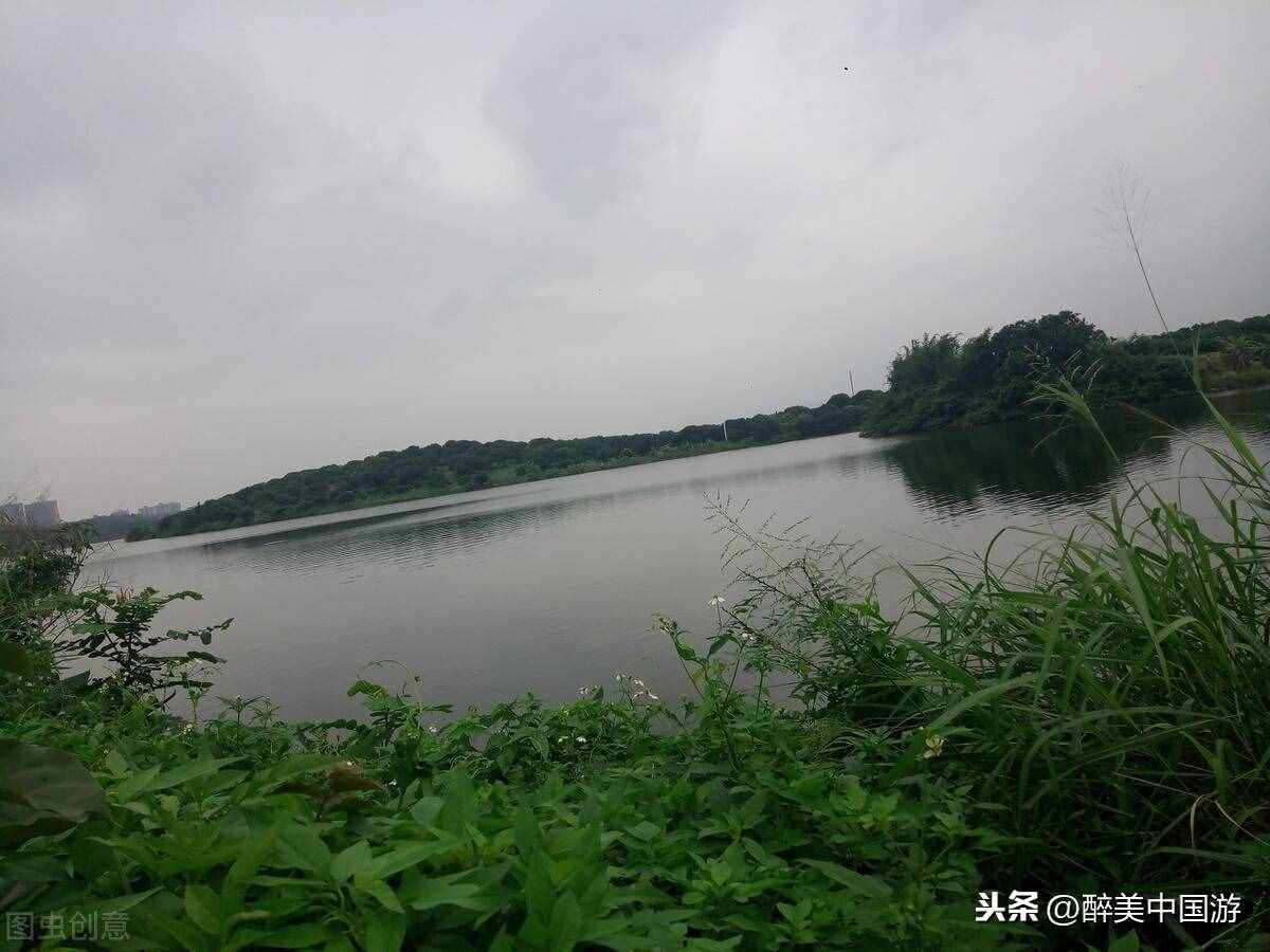 探訪夢(mèng)幻百花洲，大型花卉主題休閑勝地，環(huán)境優(yōu)美