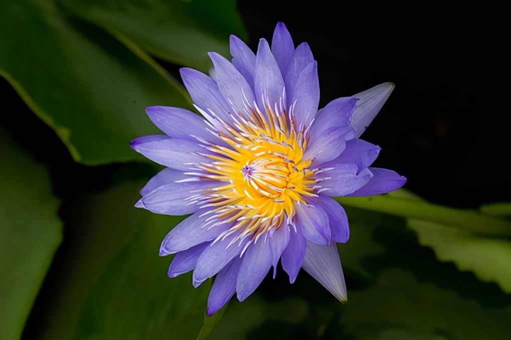 適合發(fā)朋友圈的感悟短語，深刻有內(nèi)涵，句句入心