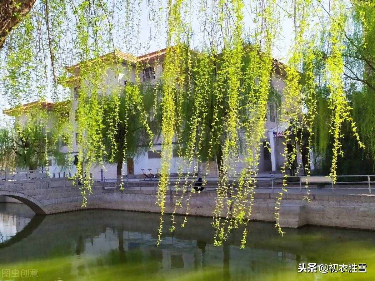 賀知章《詠柳》，二月春風(fēng)似剪刀，他寫的不僅僅只是柳樹和春風(fēng)哦