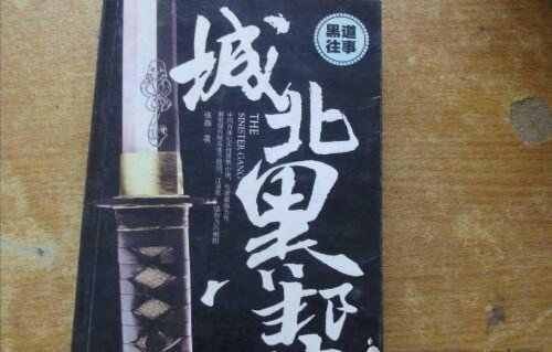 黑道小說排行榜前10名，巔峰時刻讓你熱血沸騰。