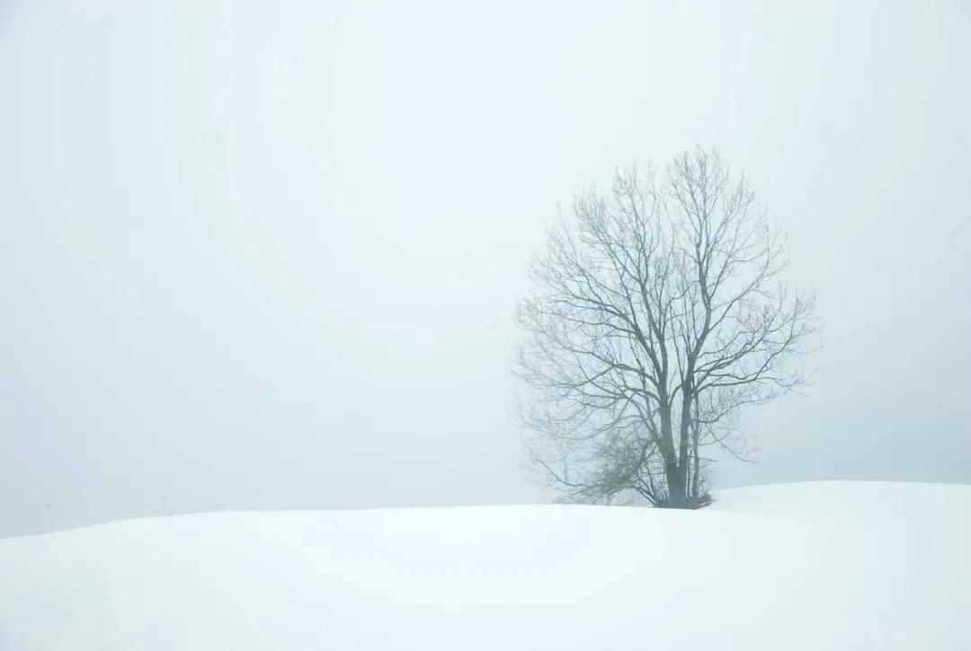 雪景拍攝技巧，教你輕松拍出雪景大片