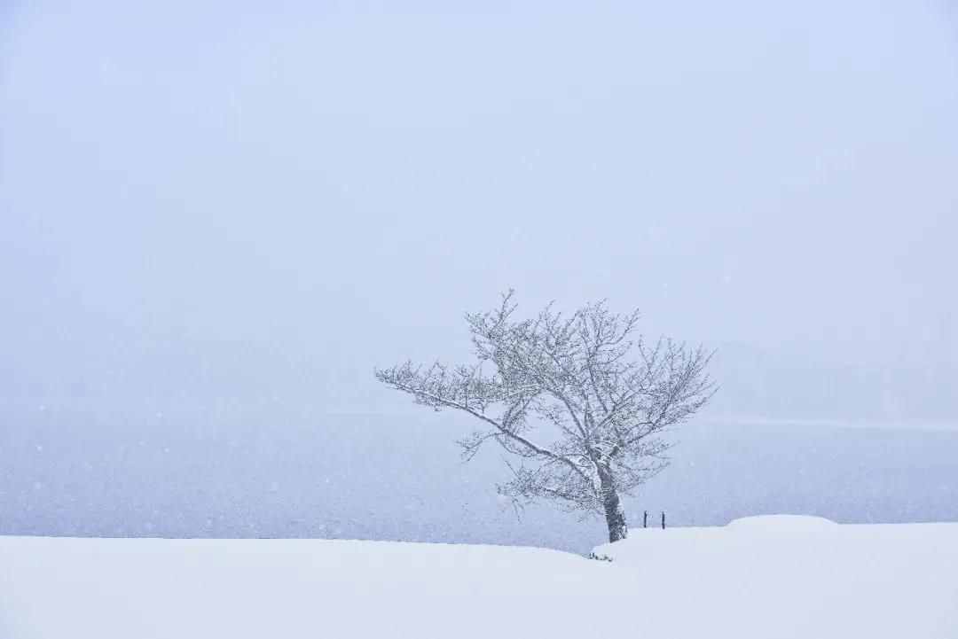 雪景拍攝技巧，教你輕松拍出雪景大片
