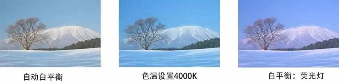 雪景拍攝技巧，教你輕松拍出雪景大片