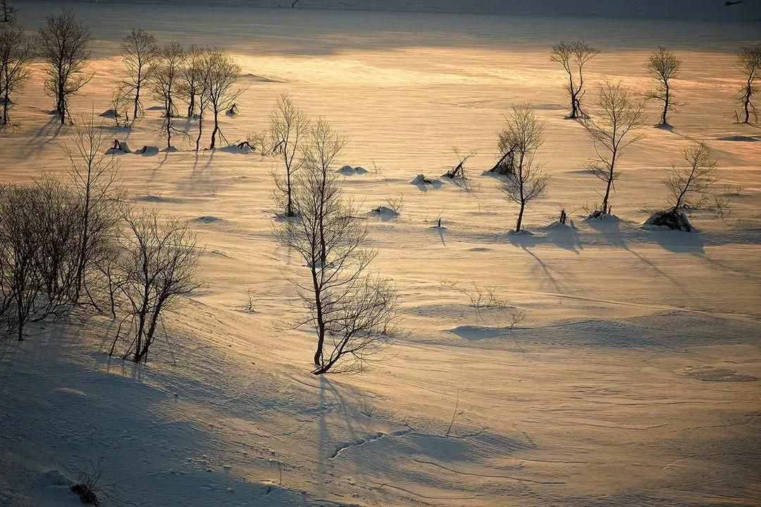 雪景拍攝技巧，教你輕松拍出雪景大片