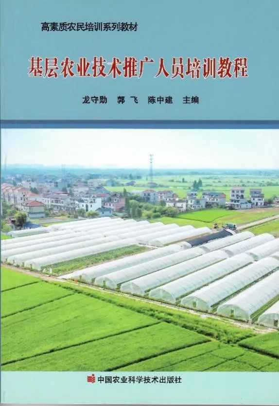 林下養(yǎng)雞技術(shù)有哪些效益優(yōu)勢？技術(shù)要點有哪些？一文講全