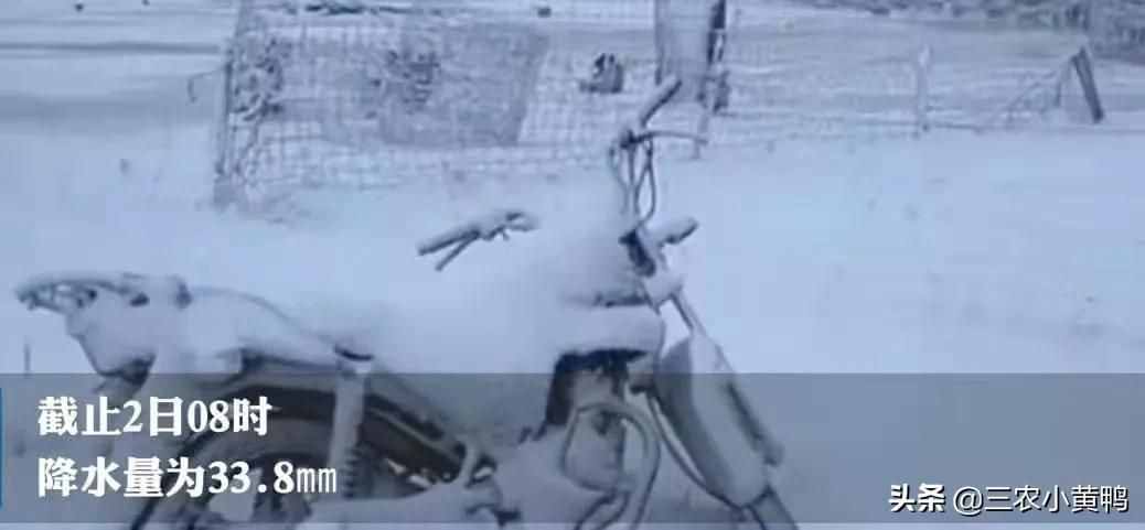 六月飛雪？天氣異常，農(nóng)民：今年夏天熱不熱？