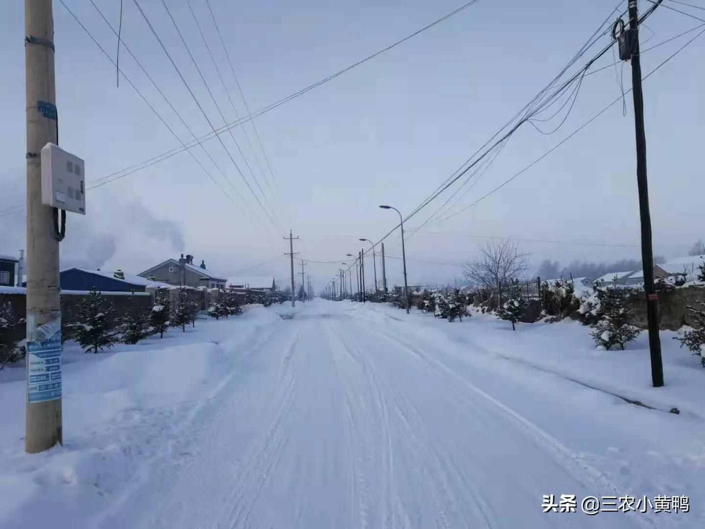 六月飛雪？天氣異常，農(nóng)民：今年夏天熱不熱？
