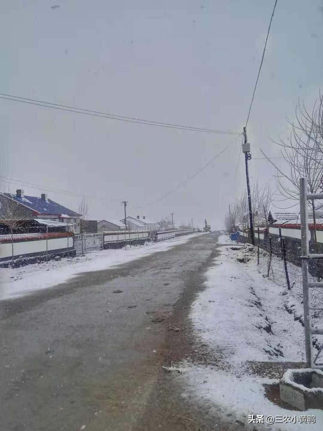 六月飛雪？天氣異常，農(nóng)民：今年夏天熱不熱？